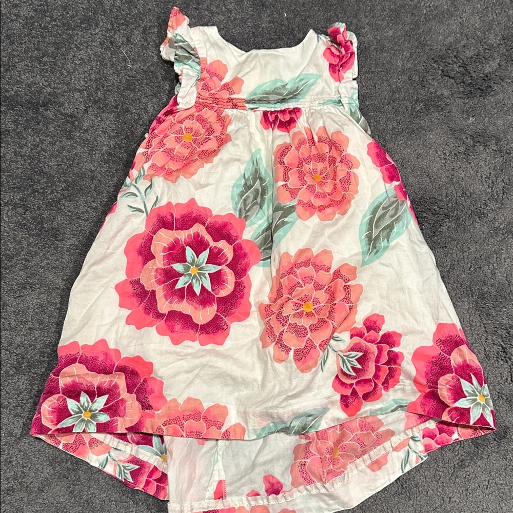 Tea brand Girls’s Floral Sleeveless Dress 5T